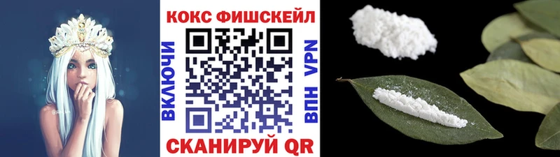COCAIN Fish Scale  Купить где  Кстово 