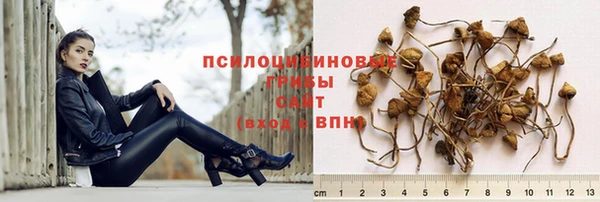альфа пвп Горно-Алтайск