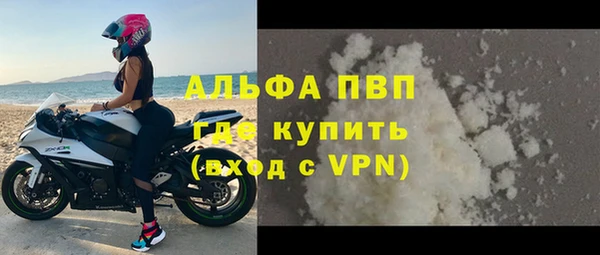 PSILOCYBIN Вяземский