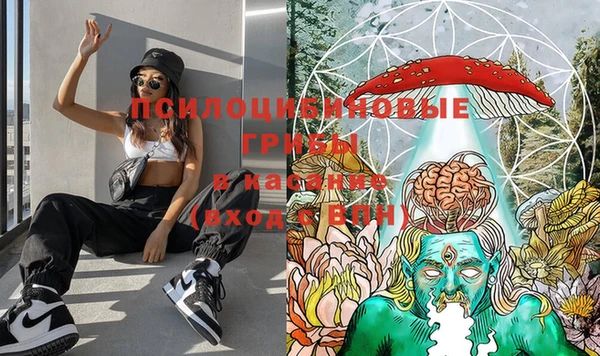 гашик Горняк