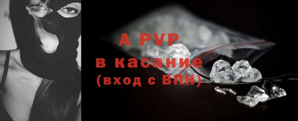 гашик Горняк