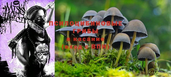 марихуана Горнозаводск