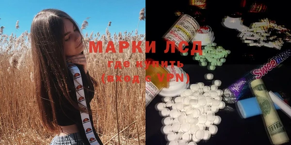 PSILOCYBIN Вяземский