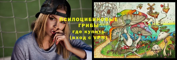 гашик Горняк