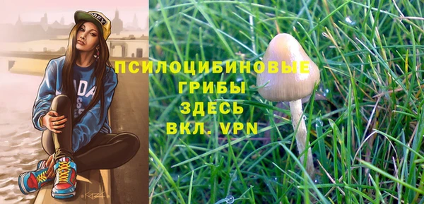 гашик Горняк